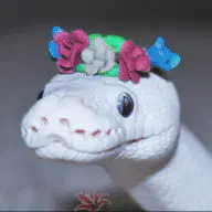 random avatar